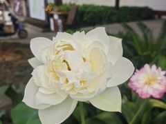 -李白纪念馆
