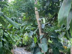-南山植物园