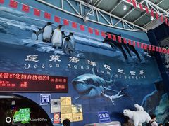 -蓬莱欧乐堡海洋极地世界