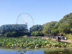 -无锡蠡湖国家湿地公园-蠡园