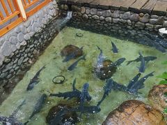 -耕渔小院·湖南鱼鲜(望城店)