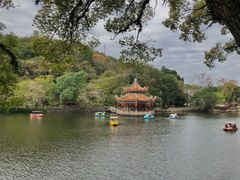-潮镇老尾牛杂(环城西路店)