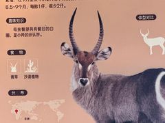 -武汉动物园