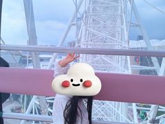 -琴岛之星摩天轮