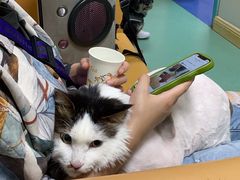 -北京观赏动物医院·24小时大型综合·猫专科·异宠专科