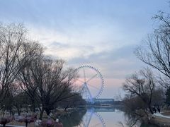 -祥源·阜阳生态乐园