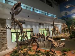 -自贡恐龙博物馆