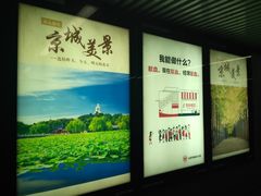-知春路(地铁站)