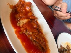 -邵年鸽(杨庄店)