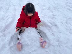 -绿野森林乐园冰雪季