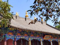 -护国法轮寺