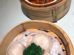 -南枝记