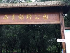 -西青郊野公园