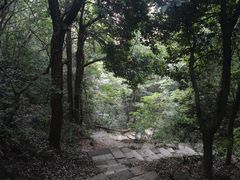 -杭州半山国家森林公园