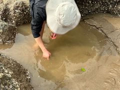 -珠海金沙滩