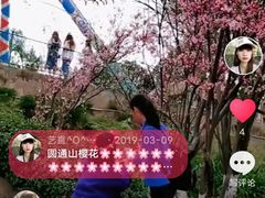 -昆明动物园