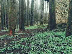 -山王坪喀斯特国家生态公园