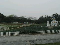 -松山湖梦幻百花洲