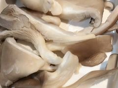 -季季红火锅(动壹店)