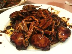 王宝和酒家-王宝和酒家(黄浦店)