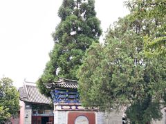 -总统兵马大元帅府