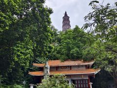-顺峰山公园