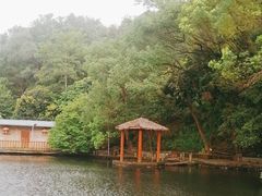-水库河鲜村