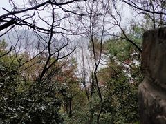 -东钱湖旅游度假区