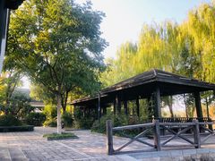 -梁鸿国家湿地公园