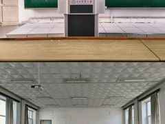 -东北农业大学