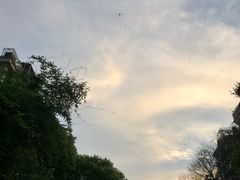 -金石国际大酒店·金丽自助餐厅