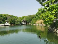-无锡蠡湖国家湿地公园-蠡园