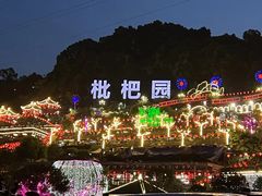 -枇杷园食为鲜火锅(南山店)