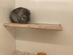 -龙猫仔乐园(惠福东路店)