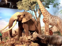 -陕西自然博物馆