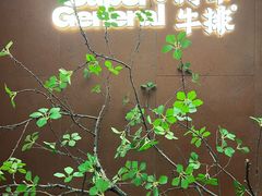 -将军牛排·尔滨地标朝鲜族美食(总店)