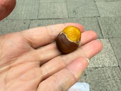 -阿男野栗王(金门路店)