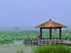-焦岗湖旅游度假区