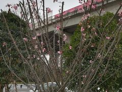 -天河潭旅游度假区