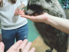 -藦茜花园宠物主题亲子互动体验馆(国顺东路店)