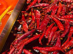 -小龙坎火锅(春熙太古里店)