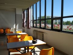 -中央财经大学-食堂