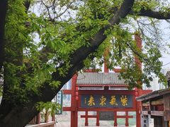 -磁器口古镇