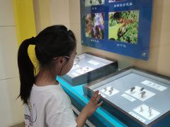 -上海昆虫博物馆