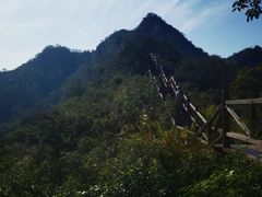-大岭沟猕猴桃谷风景区