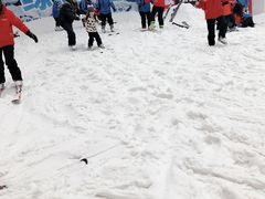 -绍兴启迪乔波冰雪世界