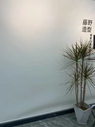 -藤野造型