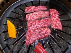 上等牛小排-炼火烤肉店