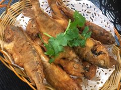 -绍兴名菜馆(可乐路店)