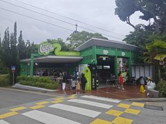 -圣淘沙天际线斜坡滑车